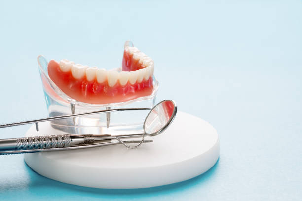 Best Preventive Dentistry  in Rogers, MN